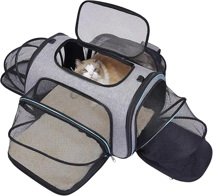 Transportadora Siivton para mascotas aprobado por aerolínea.